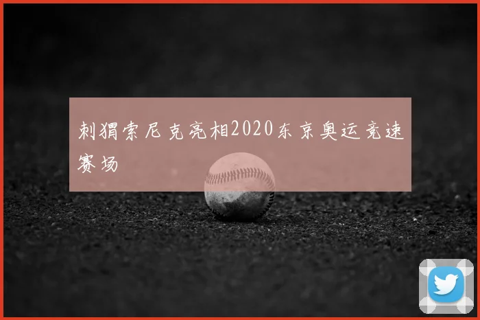 刺猬索尼克亮相2020东京奥运竞速赛场
